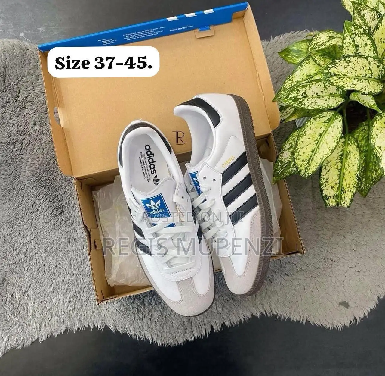 Samba Adidas Shoe