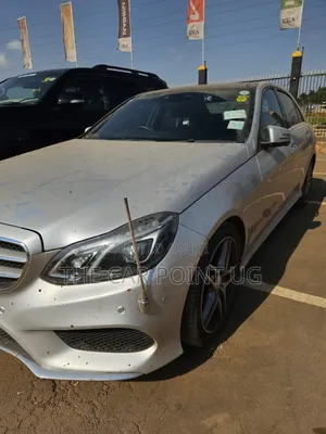 Mercedes-Benz E250 SV Premium 2014 Silver