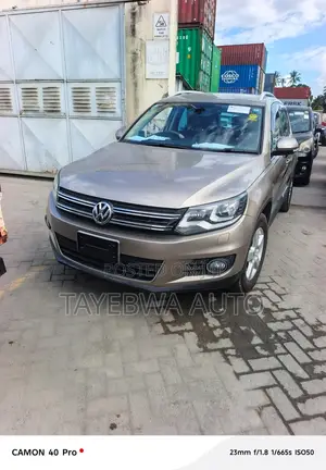 Volkswagen Tiguan 2013 Gray