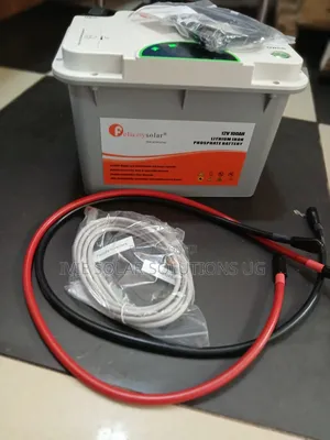 100ah 1 Felicity Lithium Battery