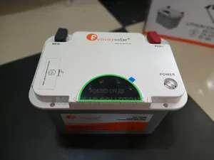 100ah 1 Felicity Lithium Battery