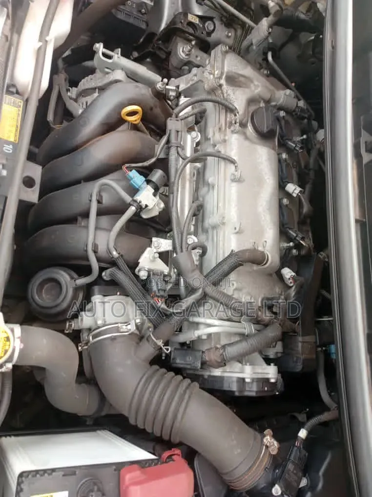 Professional Vehicle Mechanic