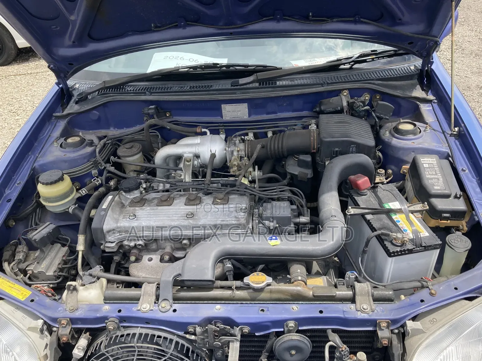 Professional Vehicle Mechanic