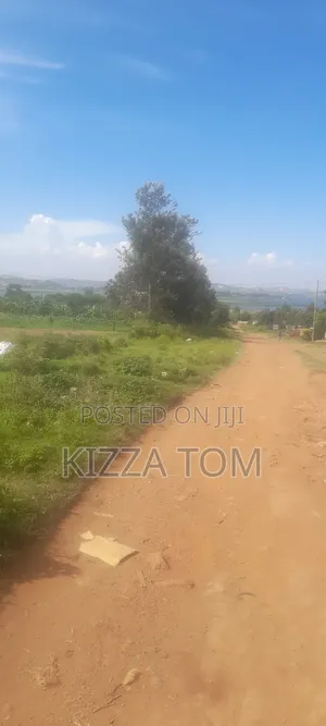 Land and Plots for Sale