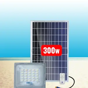 Blue Carbon 300W Outdoor Security Flood Light