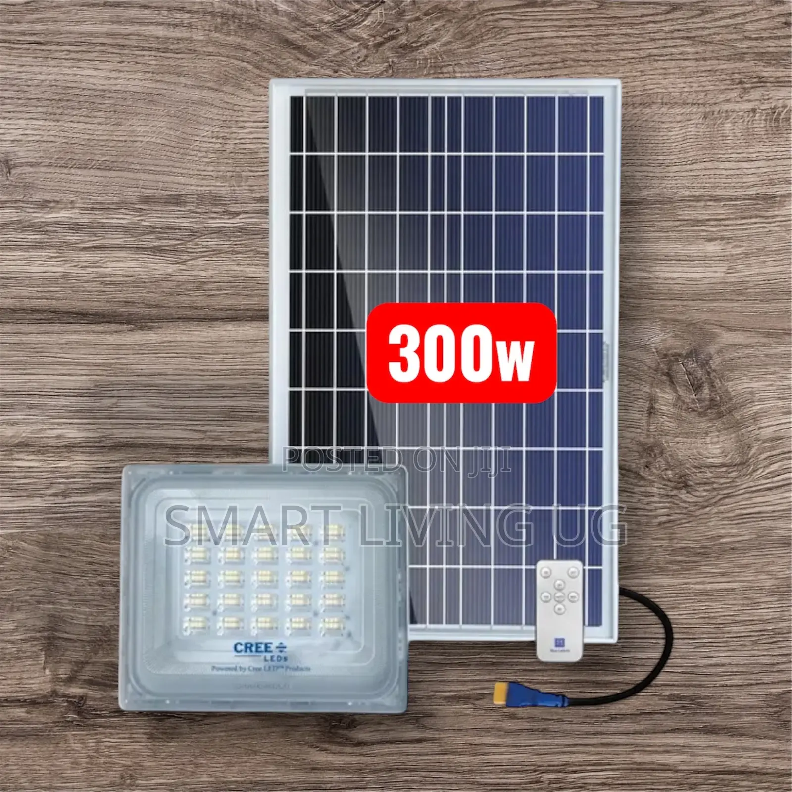 Blue Carbon 300W High Lumen Solar Flood Light