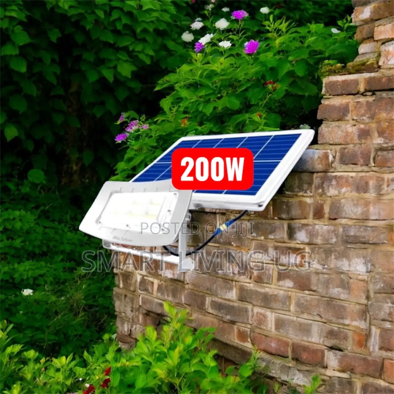 Blue Carbon 200W Premium Solar Flood Light