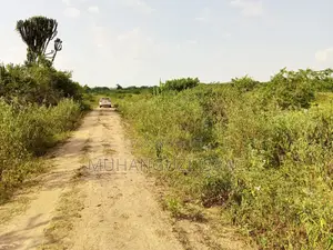 Farm Land for Sale