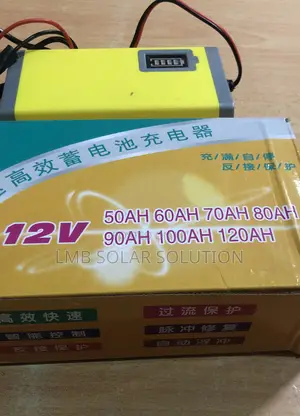 Battery Charger 6A