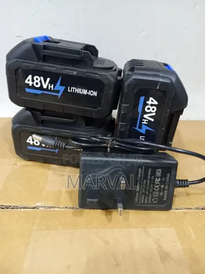 48V Lithium-Ion Batter Y With Charger