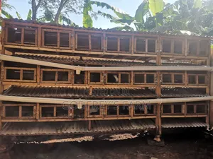 Rabbit Cage