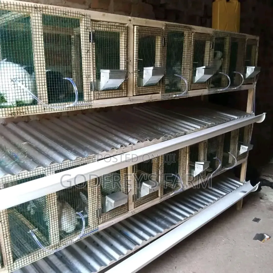 Rabbit Cage