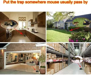 Heavy Duty Reusable Crocodile Teeth Snap Mouse and Rat Traps 2pcs