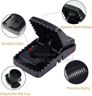 Heavy Duty Reusable Crocodile Teeth Snap Mouse and Rat Traps 2pcs