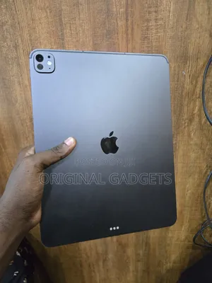Apple iPad Pro 13 (2025) 256 GB Gray