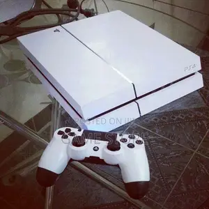 PS4 Standard: Freshly Unboxed and Ready to Ruin Your Sleep Schedule!.