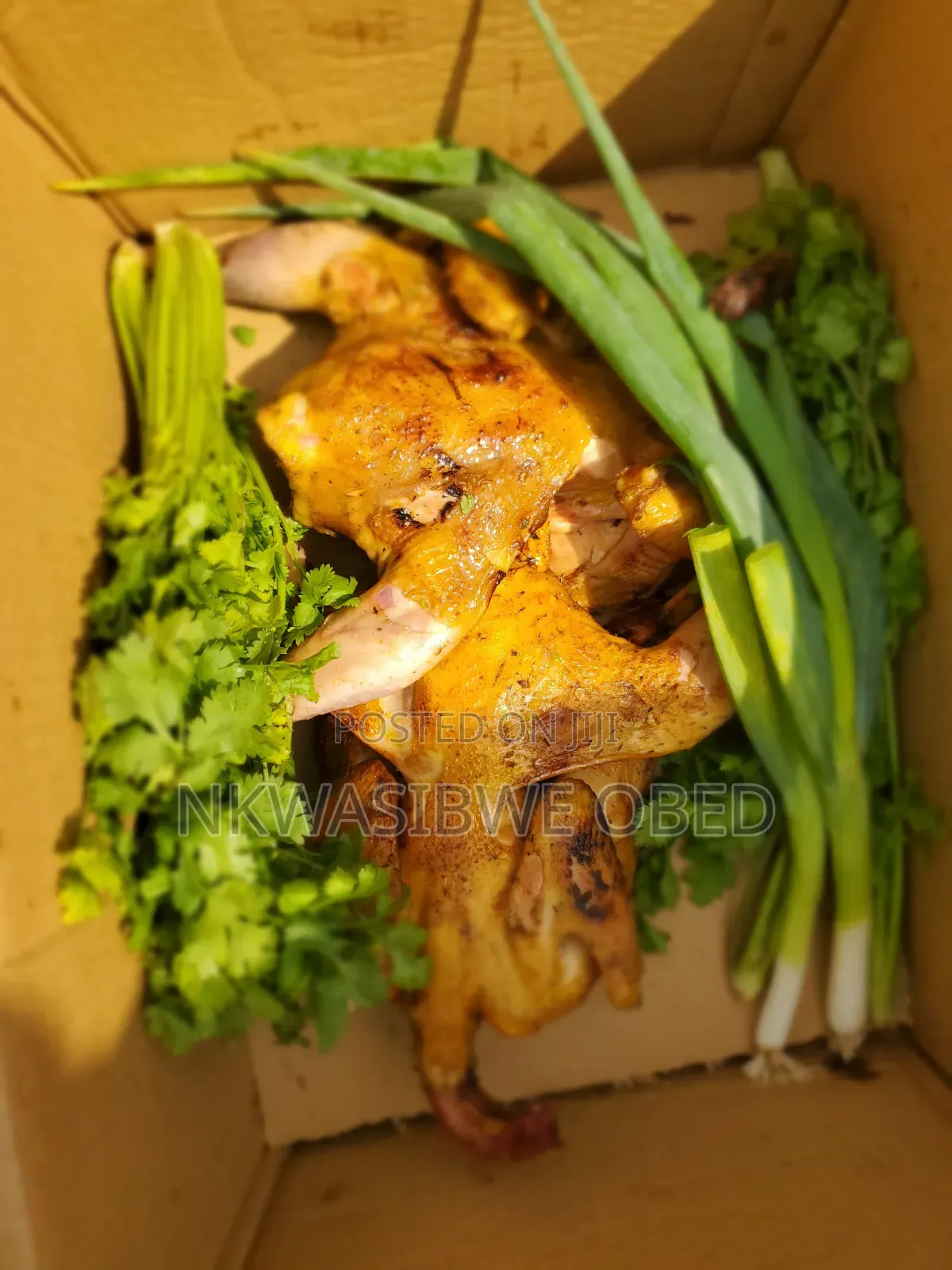 Dressed Turkey and Guinea Fowl