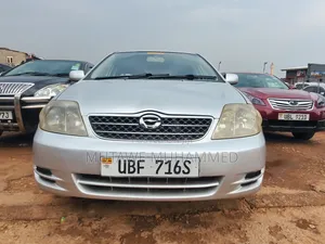 Toyota Corolla Fielder 2007 Silver