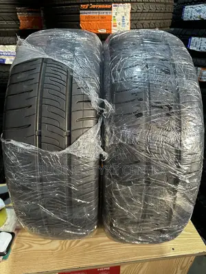 205/60r16 Dunlop Tires From Japan