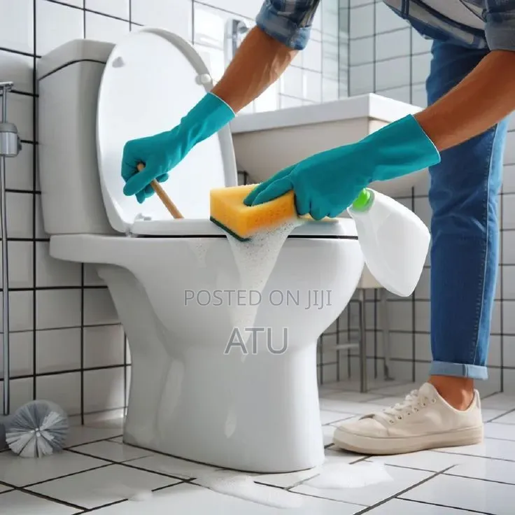 Living in a Clean Environment