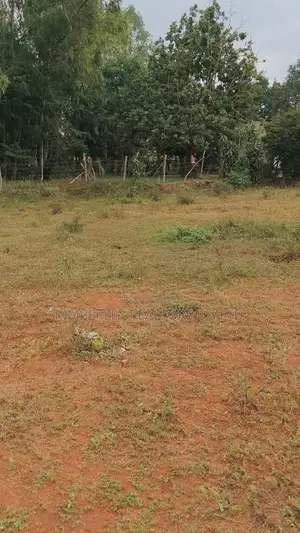 Land for Sale – Nsangi