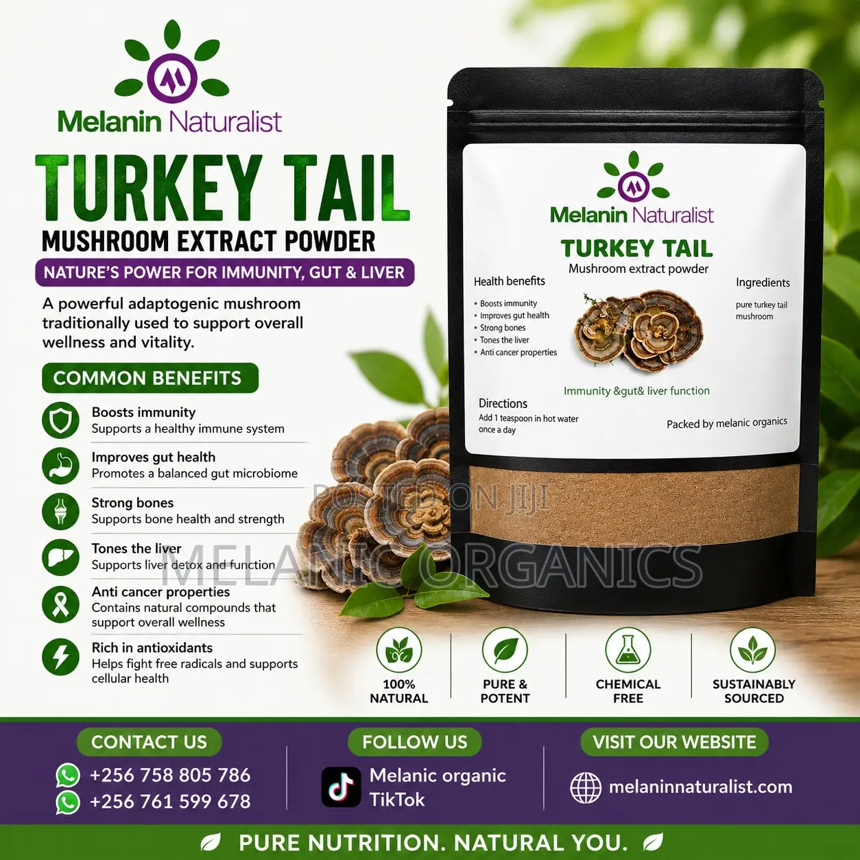 Turkey Tail Mushroom Powder