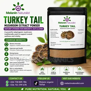 Turkey Tail Mushroom Powder