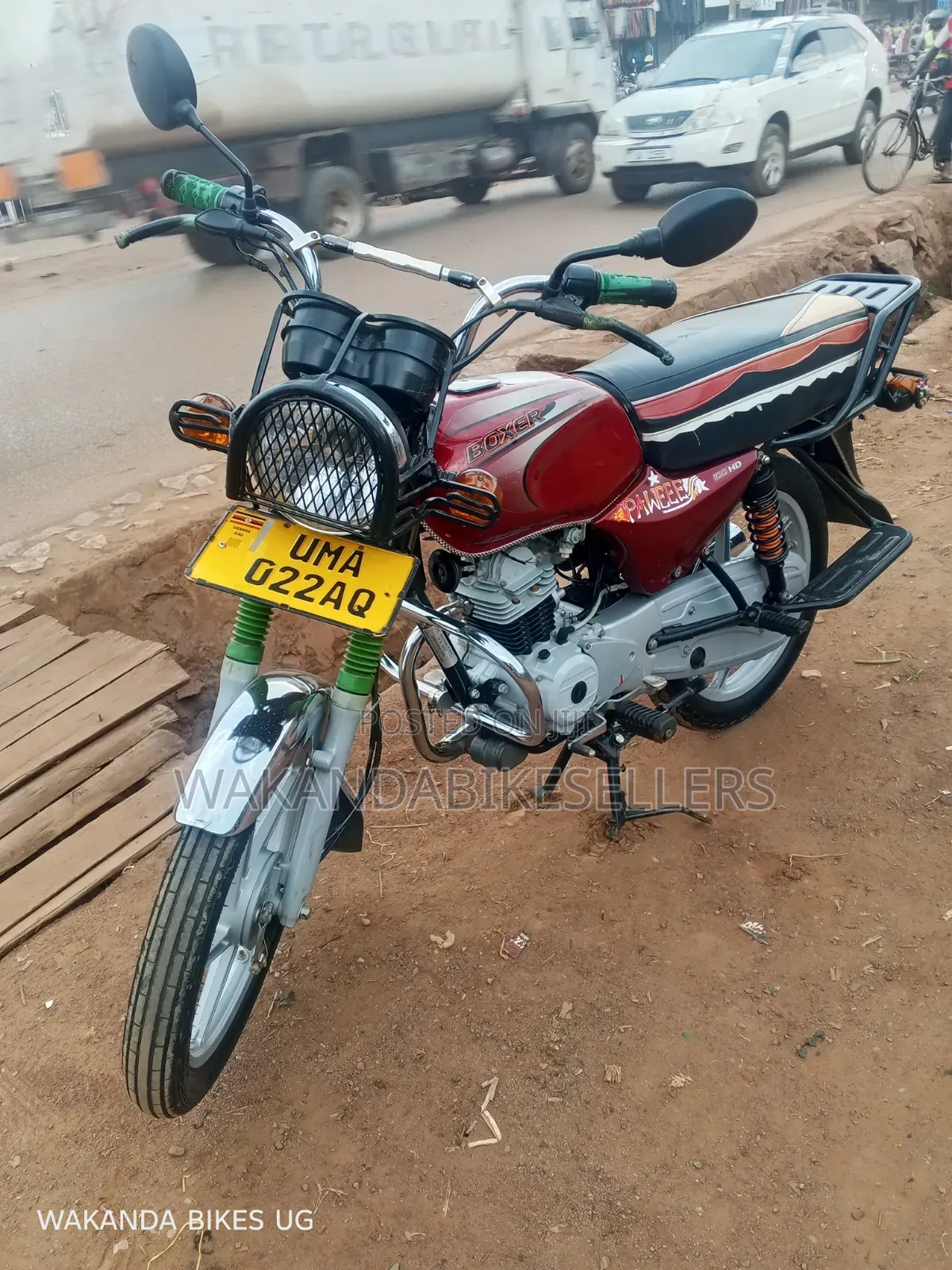 Bajaj Boxer 100 2024 Red