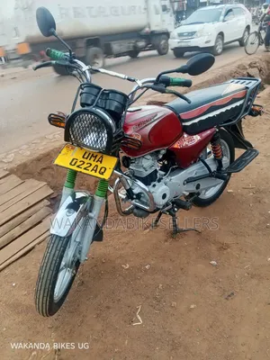 Bajaj Boxer 100 2024 Red