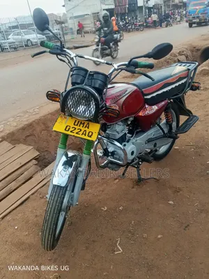 Bajaj Boxer 100 2024 Red