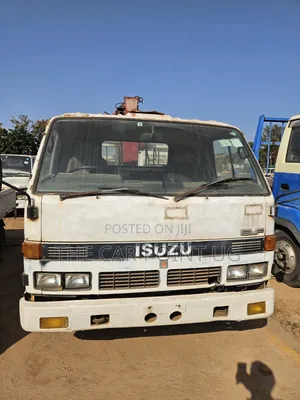 Isuzu Elf Crane Truck