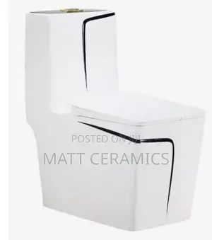 Fancy Toilet Seat