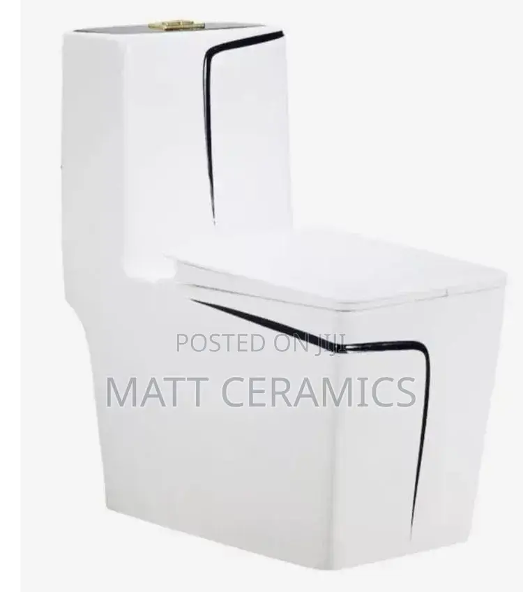 Fancy Toilet Seat