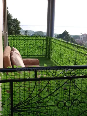 Fenced Balcony Grass