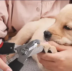 Pet Nail Clipper and File Set
