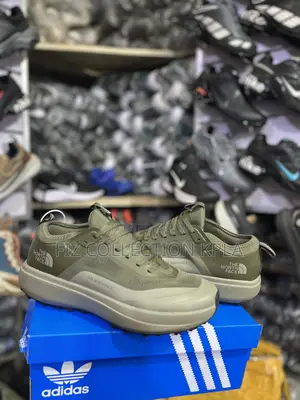 The North Face GORE-TEX Olive Hiking Shoes