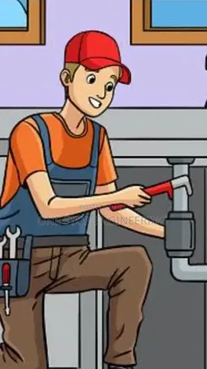 Professional Plumber for Hire
