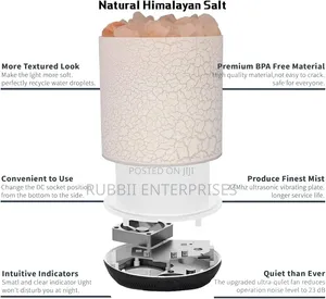 Humidifier 3-in-1 Himalayan Salt Lamp Essential Oil Diffuser