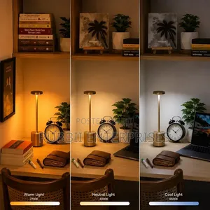 Rechargeable LED Table Lamp ~ Gold