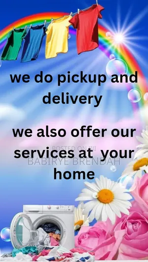 We Offer Laundry Wash, Carpets, Duvets Blankets and House Cleaning