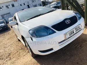 Toyota Allex 2006 White