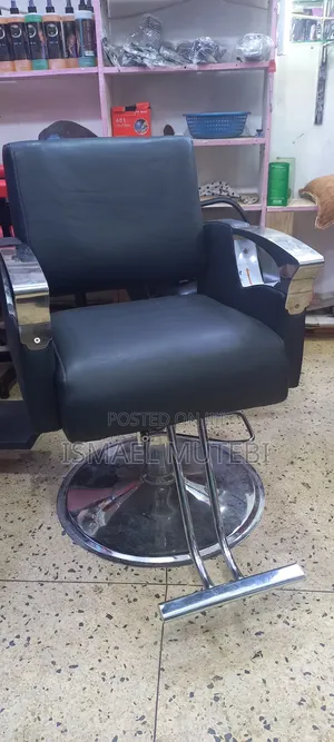 Salon Chair