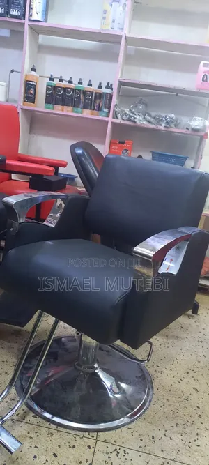 Salon Chair