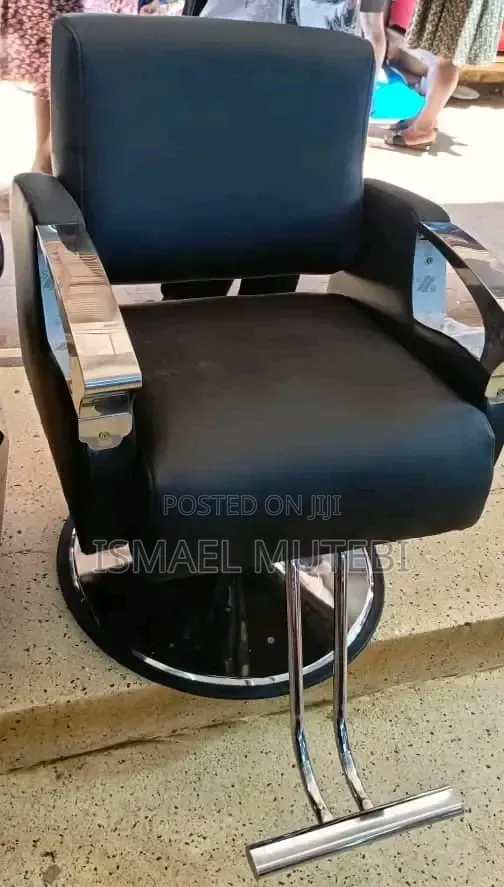Salon Chair