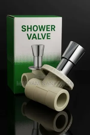 Shower Valve