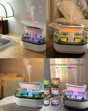 Rain Cloud Diffusers Humidifier
