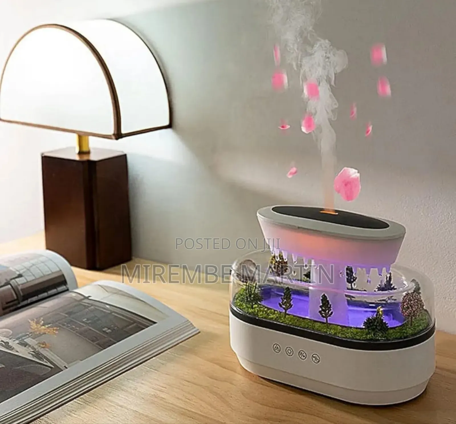 Rain Cloud Diffusers Humidifier