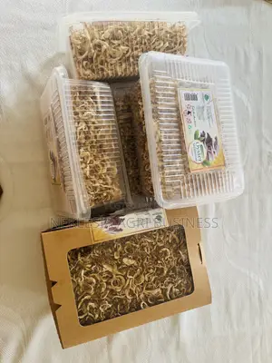 Dried Mushrooms for Sale