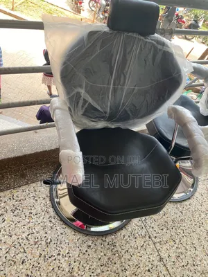 Salon Chair