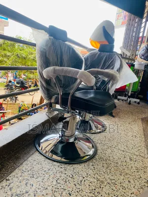 Salon Chair